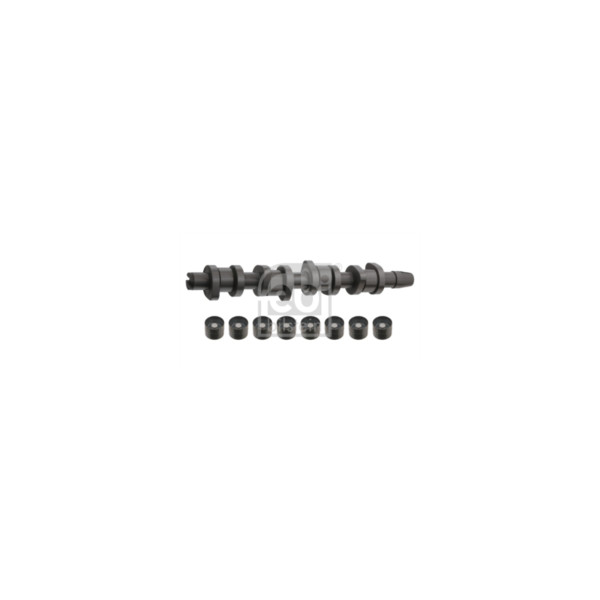 Camshaft Kit image