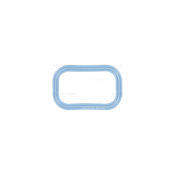 Manifold Gasket image