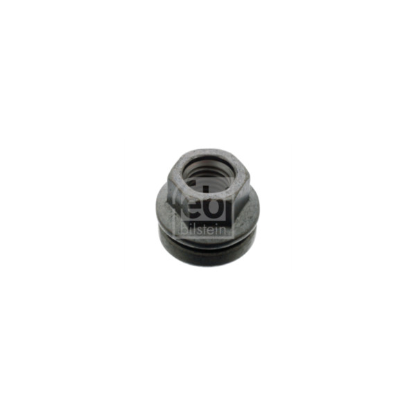Wheel Bolt/Nut image