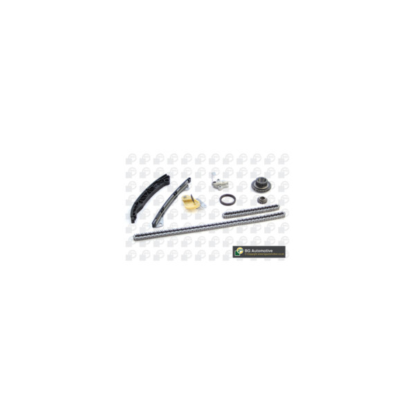 Timing Chain Kit image