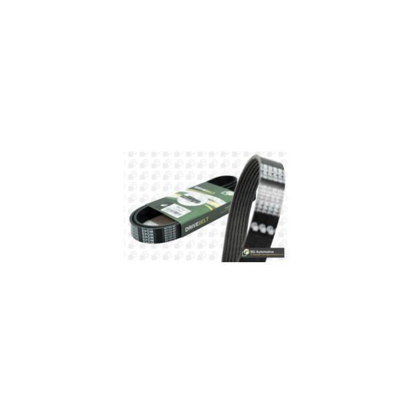 Drive Belt image