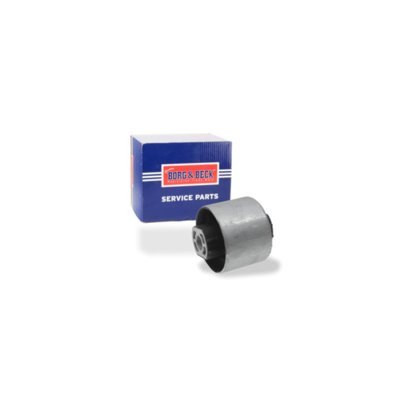 Trailing Arm Mount/Bush image