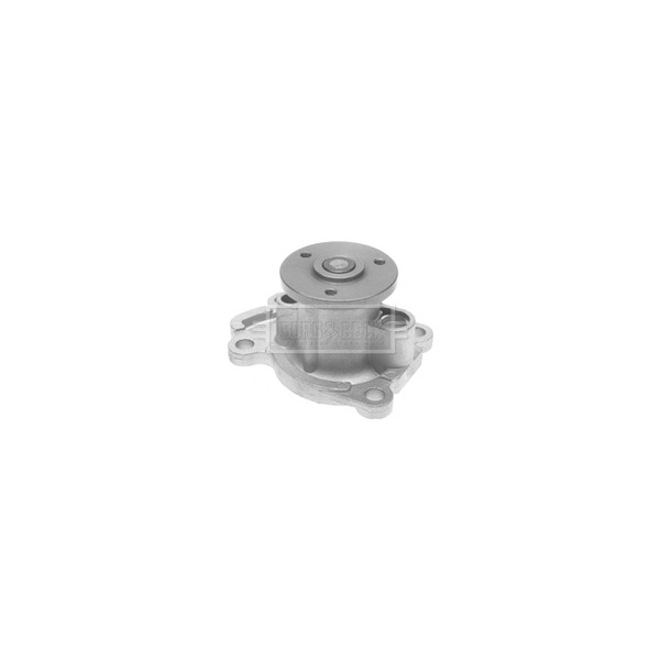Water Pump image